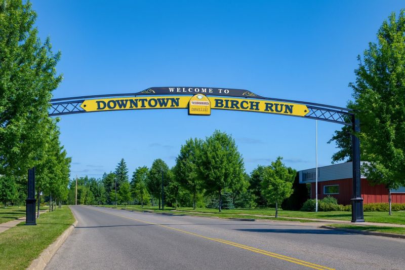 Best Shower Installation pros in Birch Run, MI